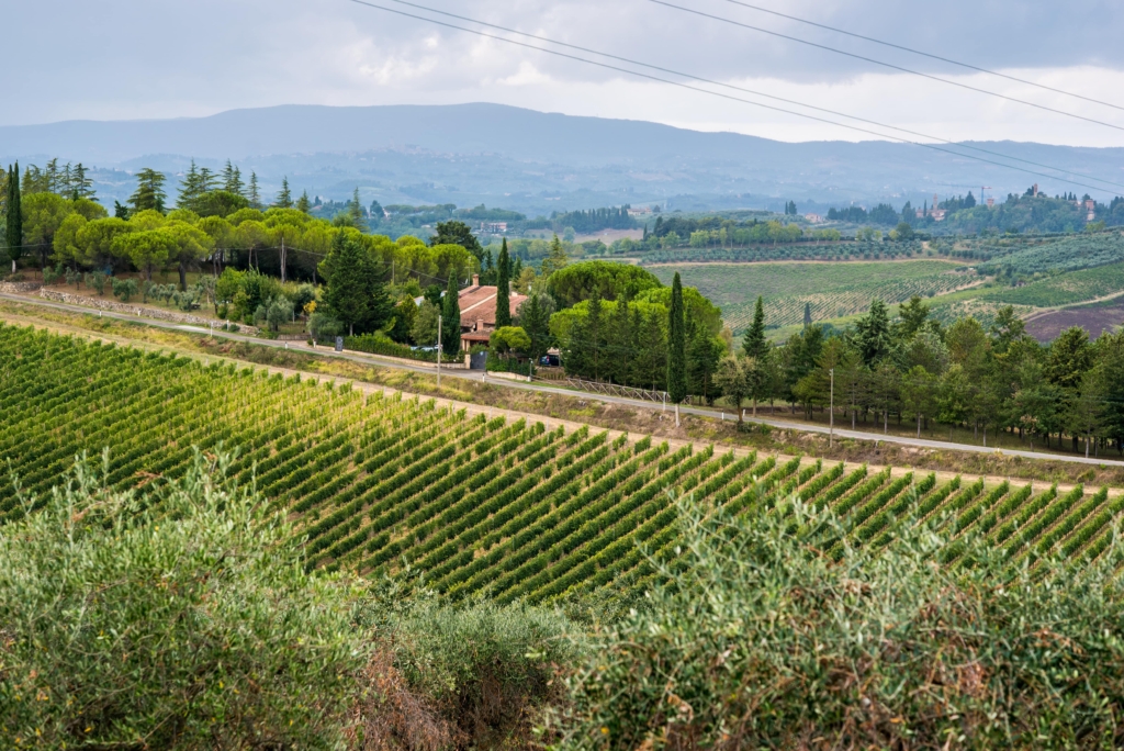 wedding location tuscany