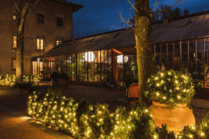 vignamaggio winter garden set up